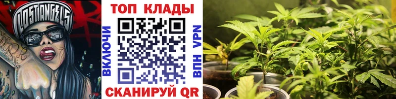 КЕТАМИН Лагань