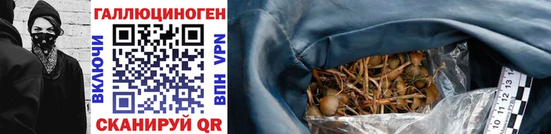 хочу наркоту  shop клад  Галлюциногенные грибы Psilocybine cubensis  Лагань 